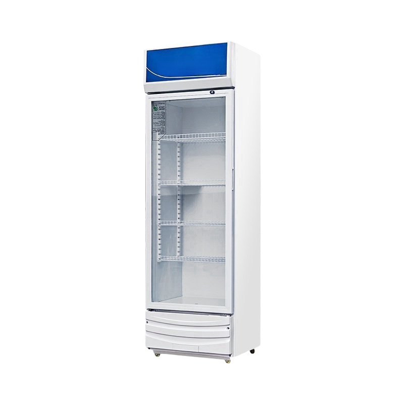 Commercial Electric Double Thr - Wine Beer Store ulasan dan harga